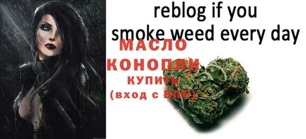 шишки Вяземский