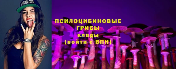 индика Волоколамск