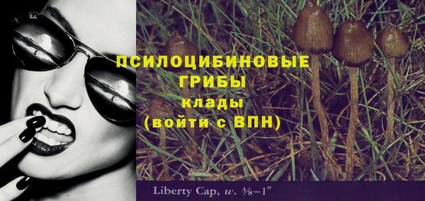 индика Волоколамск