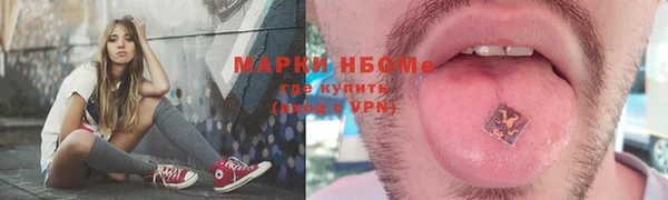 индика Волоколамск