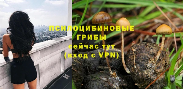 шишки Вяземский