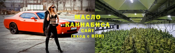 индика Волоколамск