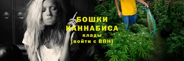 шишки Вяземский