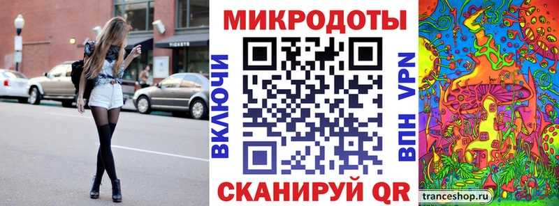 Галлюциногенные грибы Psilocybe Калязин